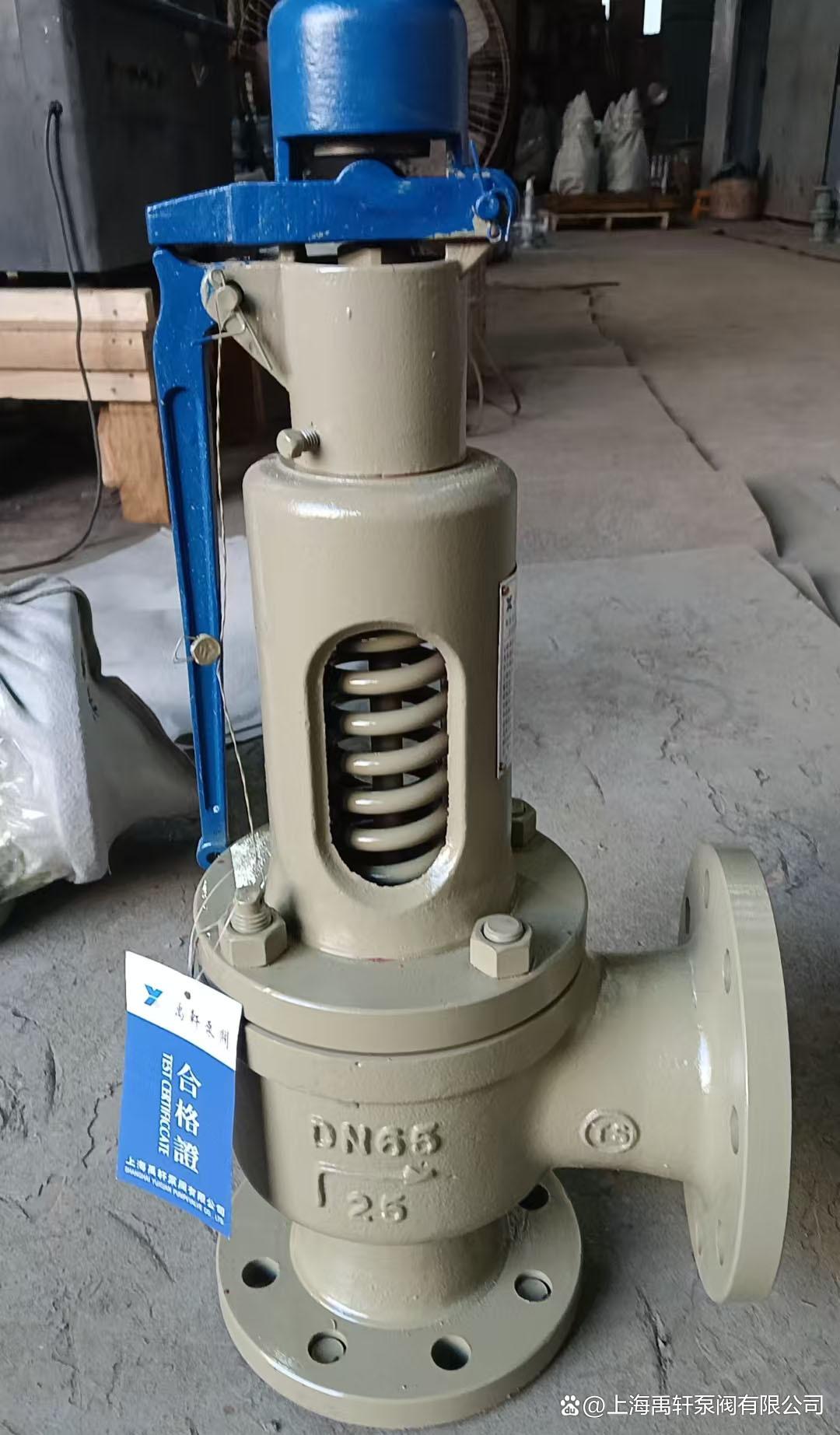 16C-DN50弹簧式安全阀新老交替，助力广州一厂区设备安全升级